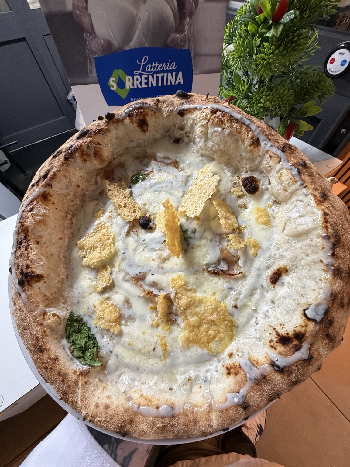 Pizza appena sfornata